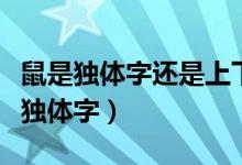 鼠是獨體字還是上下結(jié)構(gòu)（鼠是上下結(jié)構(gòu)還是獨體字）