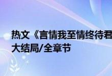 熱文《言情我至情終待君歸魏時錦霍衍》佚名開全文閱讀/大結局/全章節(jié)