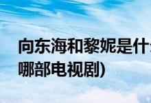 向東海和黎妮是什么電視劇(向東海和黎妮是哪部電視劇)