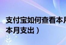 支付寶如何查看本月總支出（支付寶怎么查看本月支出）