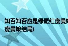 知否知否應(yīng)是綠肥紅瘦曼娘第幾集下線(知否知否應(yīng)是綠肥紅瘦曼娘結(jié)局)