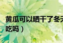 黃瓜可以曬干了冬天吃嗎（黃瓜能曬干冬天能吃嗎）