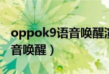 oppok9語音喚醒演示（oppok9怎么開啟語音喚醒）