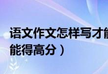 語文作文怎樣寫才能得高分（語文作文怎樣寫能得高分）