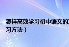 怎樣高效學(xué)習(xí)初中語(yǔ)文的方法詳解（初中語(yǔ)文有什么高效學(xué)習(xí)方法）