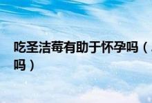 吃圣潔莓有助于懷孕嗎（2年沒懷孕吃圣潔莓懷孕了 是真的嗎）