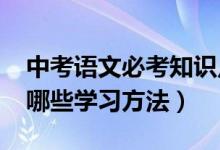 中考語文必考知識點(diǎn)2021講解（中考語文有哪些學(xué)習(xí)方法）