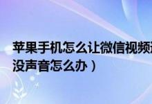 蘋果手機怎么讓微信視頻通話沒聲（蘋果手機微信視頻通話沒聲音怎么辦）