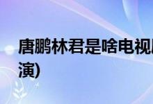 唐鵬林君是啥電視劇(唐鵬和林君分別由誰飾演)