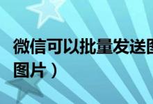 微信可以批量發(fā)送圖片嗎（微信怎么批量發(fā)送圖片）