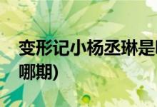 變形記小楊丞琳是哪一期(變形記小楊丞琳是哪期)