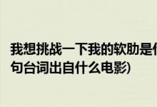 我想挑戰(zhàn)一下我的軟肋是什么電影(我想挑戰(zhàn)一下我的軟肋這句臺詞出自什么電影)