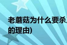 老蘑菇為什么要?dú)⑷隣?老酒館老蘑菇殺三爺?shù)睦碛?