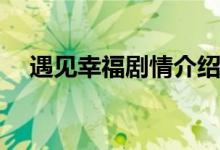 遇見幸福劇情介紹(遇見幸福主要講什么)