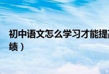 初中語文怎么學(xué)習(xí)才能提高成績（初中語文怎么學(xué)能提高成績）