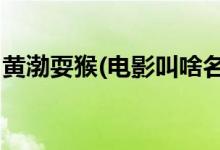 黃渤耍猴(電影叫啥名字,黃渤耍猴電影叫什么)