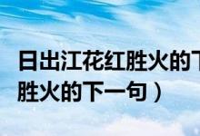 日出江花紅勝火的下一句怎么讀（日出江花紅勝火的下一句）