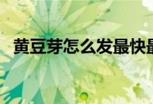 黃豆芽怎么發(fā)最快最有效（黃豆芽怎么發(fā)）