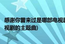 感謝你曾來過是哪部電視劇的主題曲(感謝你曾來過是什么電視劇的主題曲)