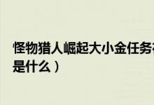 怪物獵人崛起大小金任務(wù)在哪領(lǐng)（怪物獵人大小金獲取方法是什么）