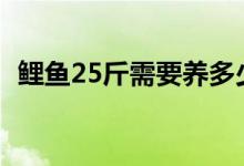 鯉魚25斤需要養(yǎng)多少年（鯉魚能活多少年）