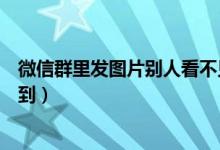 微信群里發(fā)圖片別人看不見(jiàn)（微信群發(fā)圖片別人為什么看不到）