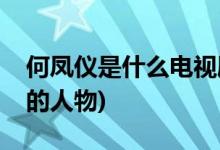 何鳳儀是什么電視劇(何鳳儀是什么電視劇里的人物)