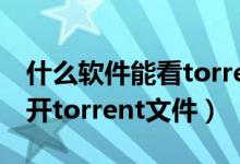 什么軟件能看torrent格式（手機(jī)迅雷怎么打開(kāi)torrent文件）