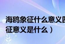 海鷗象征什么意義四字成語（海鷗的特點和象征意義是什么）