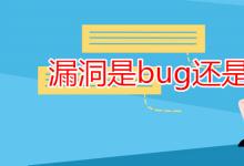 教育資訊：漏洞是bug還是bag