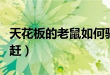 天花板的老鼠如何驅(qū)趕（天花板有老鼠怎么驅(qū)趕）