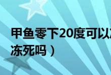 甲魚零下20度可以凍死嗎（甲魚在零下5度會(huì)凍死嗎）