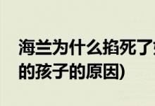 海蘭為什么掐死了如懿的孩子(海蘭掐死如懿的孩子的原因)