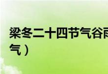 梁冬二十四節(jié)氣谷雨篇（谷雨是什么季節(jié)的節(jié)氣）