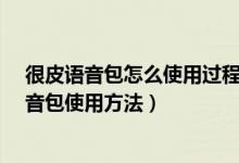 很皮語音包怎么使用過程視頻（很皮語音包怎么用-很皮語音包使用方法）