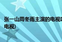 張一山周冬雨主演的電視叫什么電視劇(張一山周冬雨主演的電視)