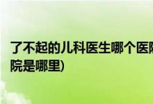 了不起的兒科醫(yī)生哪個(gè)醫(yī)院拍的(了不起的兒科醫(yī)生拍攝的醫(yī)院是哪里)