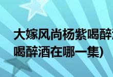 大嫁風(fēng)尚楊紫喝醉酒是哪一集(大嫁風(fēng)尚楊紫喝醉酒在哪一集)