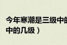 今年寒潮是三級(jí)中的第幾級(jí)（三級(jí)寒潮是預(yù)警中的幾級(jí)）