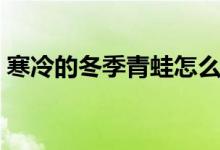 寒冷的冬季青蛙怎么冬眠（青蛙要不要冬眠）