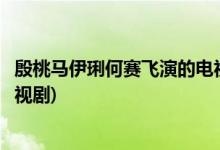 殷桃馬伊琍何賽飛演的電視劇(殷桃馬伊琍何賽飛演的什么電視劇)