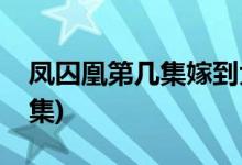 鳳囚凰第幾集嫁到大魏(鳳囚凰嫁到大魏哪一集)