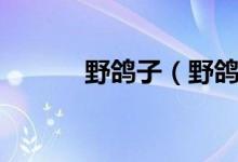 野鴿子（野鴿子和斑鳩的區(qū)別）