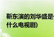 靳東演的劉華盛是什么片(靳東演的劉華盛是什么電視劇)