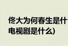 佟大為何春生是什么電視劇(佟大為何春生的電視劇是什么)