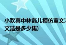 小歡喜中林磊兒模仿董文潔是哪一集(小歡喜中林磊兒模仿董文潔是多少集)