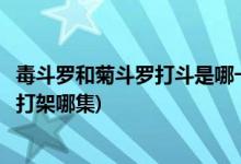 毒斗羅和菊斗羅打斗是哪一集(斗羅大陸動畫毒斗羅和菊斗羅打架哪集)