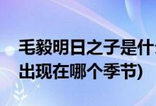 毛毅明日之子是什么季節(jié)(《明日之子》毛毅出現(xiàn)在哪個季節(jié))