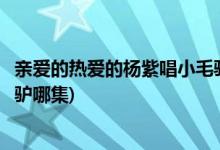 親愛的熱愛的楊紫唱小毛驢是第幾集(親愛的熱愛的佟年小毛驢哪集)