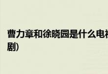 曹力章和徐曉園是什么電視劇(曹力章和徐曉園出自什么電視劇)